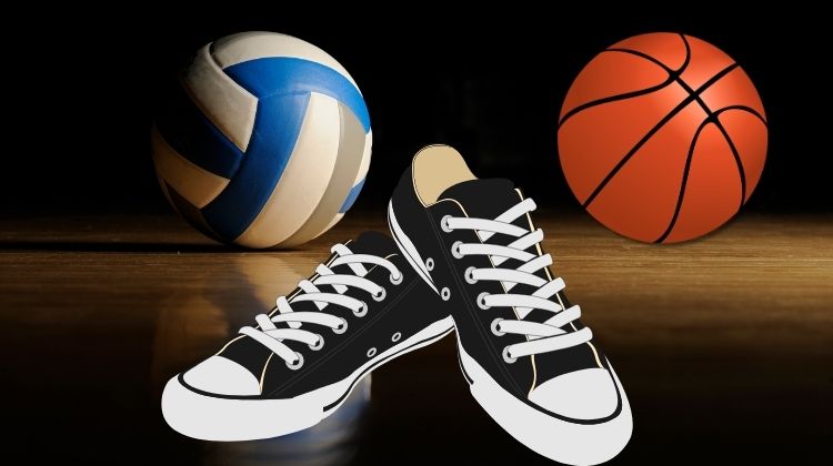 a pair of black sneakers next to a basketball and a blue and white ball